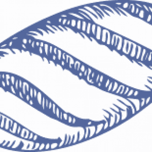 Baguettes, loaves, foccaccia and ciabatta made fresh daily. Take a loaf home!